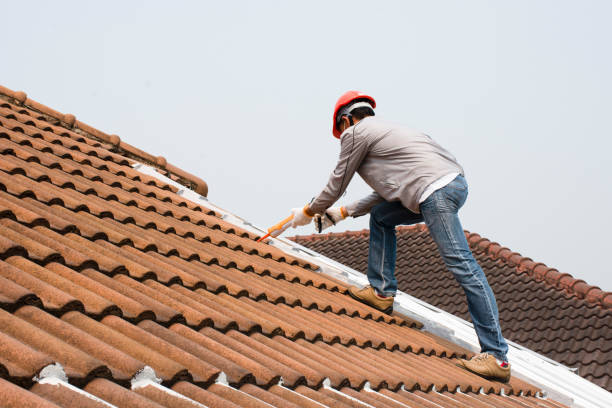 Best Roof Moss and Algae Removal  in Crest, CA